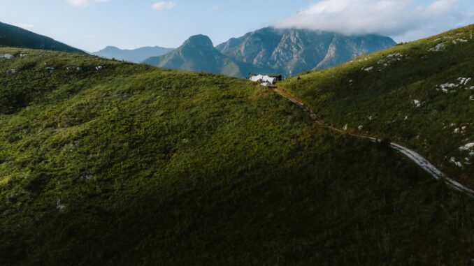 MUTGeorge_ Mountain Ultra-Trail by UTMB